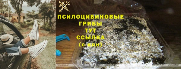 хмурый Вязники