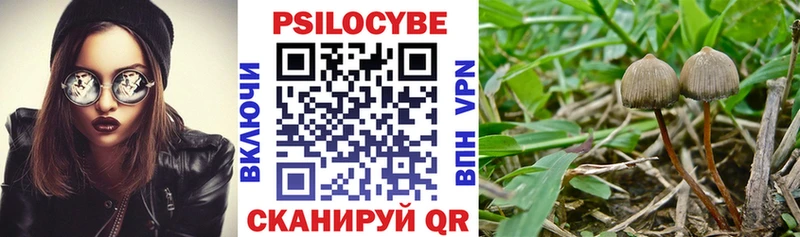 Галлюциногенные грибы Magic Shrooms Купить где Лагань